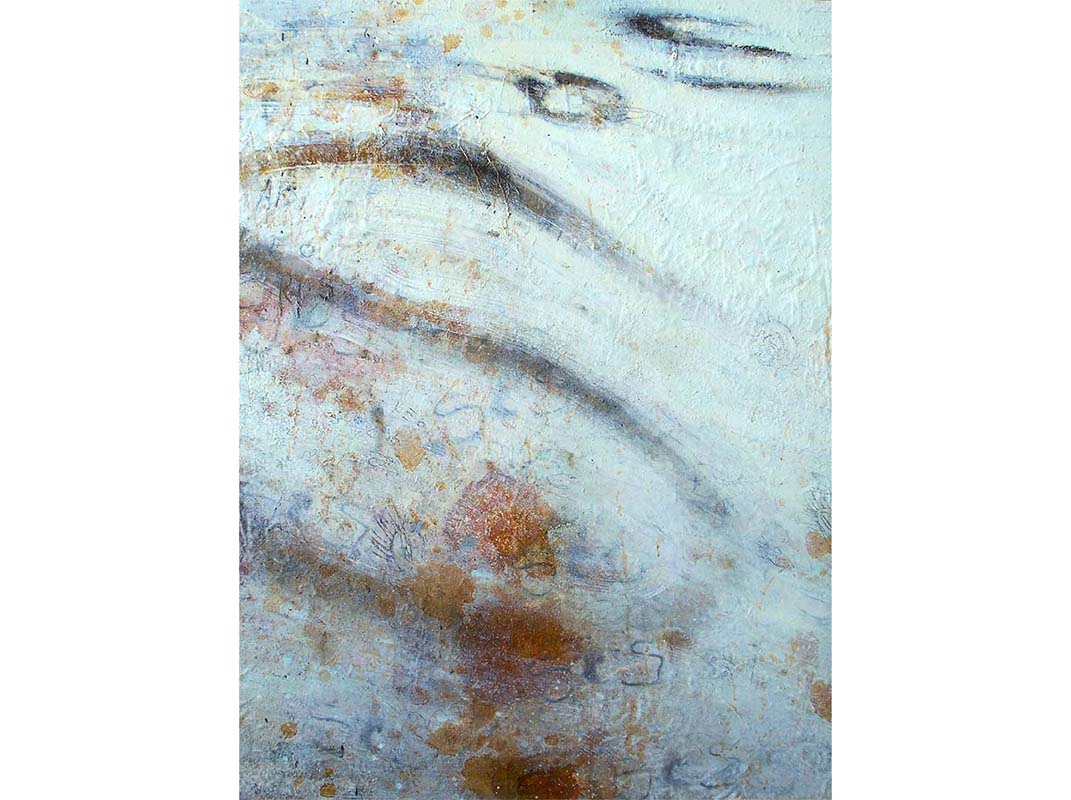 Torrents exhibition, Francesco Villicich, oil on cavas series